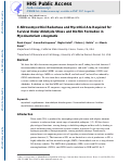 Cover page: S‐nitrosomycothiol reductase and mycothiol are required for survival under aldehyde stress and biofilm formation in Mycobacterium smegmatis