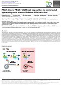 Cover page: PRC1 directs PRC2-H3K27me3 deposition to shield adult spermatogonial stem cells from differentiation