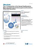 Cover page: The C-Terminal Arm of the Human Papillomavirus Major Capsid Protein Is Immunogenic and Involved in Virus-Host Interaction