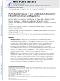 Cover page: Matrix Metalloproteinase 13 from Satellite Cells is Required for Efficient Muscle Growth and Regeneration.