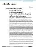 Cover page: Germ cell recovery, cryopreservation and transplantation in the California white sturgeon, Acipenser transmontanus.