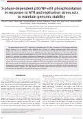 Cover page: S-phase-dependent p50/NF-кB1 phosphorylation in response to ATR and replication stress acts to maintain genomic stability