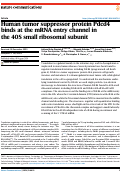 Cover page: Human tumor suppressor protein Pdcd4 binds at the mRNA entry channel in the 40S small ribosomal subunit