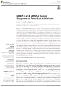 Cover page: BRCA1 and BRCA2 Tumor Suppressor Function in Meiosis