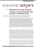 Cover page: Metabolomics reveals metabolic changes in male reproductive cells exposed to thirdhand smoke