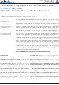 Cover page: Laminar circuit organization and response modulation in mouse visual cortex