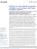 Cover page: Evidence for virus-mediated oncogenesis in bladder cancers arising in solid organ transplant recipients.