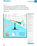 Cover page: The long non-coding RNA CDK6-AS1 overexpression impacts on acute myeloid leukemia differentiation and mitochondrial dynamics