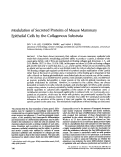 Cover page: Modulation of secreted proteins of mouse mammary epithelial cells by the collagenous substrata.