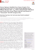 Cover page: Human Epitopes Identified from Herpes Simplex Virus Tegument Protein VP11/12 (UL46) Recall Multifunctional Effector Memory CD4+ TEM Cells in Asymptomatic Individuals and Protect from Ocular Herpes Infection and Disease in "Humanized" HLA-DR Transgenic Mice.