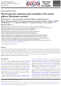 Cover page: Whole-genome sequence and assembly of the Javan gibbon (Hylobates moloch)