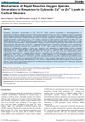 Cover page: Mechanisms of Rapid Reactive Oxygen Species Generation in Response to Cytosolic Ca2+ or Zn2+ Loads in Cortical Neurons