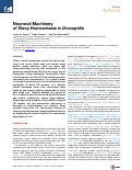 Cover page: Neuronal Machinery of Sleep Homeostasis in Drosophila