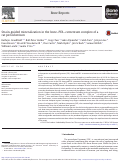 Cover page: Strain-guided mineralization in the bone–PDL–cementum complex of a rat periodontium