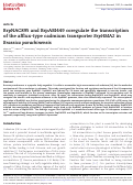 Cover page: BrpNAC895 and BrpABI449 coregulate the transcription of the afflux-type cadmium transporter BrpHMA2 in Brassica parachinensis