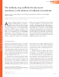 Cover page: The midbody ring scaffolds the abscission machinery in the absence of midbody microtubules