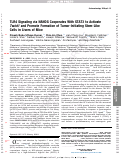 Cover page: TLR4 Signaling via NANOG Cooperates With STAT3 to Activate Twist1 and Promote Formation of Tumor-Initiating Stem-Like Cells in Livers of Mice