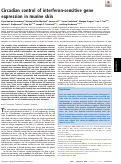 Cover page: Circadian control of interferon-sensitive gene expression in murine skin.