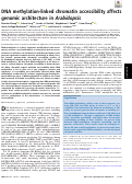 Cover page: DNA methylation-linked chromatin accessibility affects genomic architecture in Arabidopsis