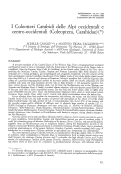 Cover page: I Coleotteri Carabidi delle Alpi occidentali (Coleoptera, Carabidae)