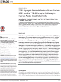 Cover page: TGRL Lipolysis Products Induce Stress Protein ATF3 via the TGF-β Receptor Pathway in Human Aortic Endothelial Cells