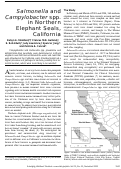 Cover page: Salmonella and Campylobacter spp. in Northern Elephant Seals, California - Volume 11, Number 12—December 2005 - Emerging Infectious Diseases journal - CDC