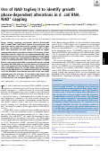 Cover page: Use of NAD tagSeq II to identify growth phase-dependent alterations in E. coli RNA NAD+ capping