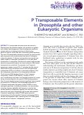 Cover page: P Transposable Elements in Drosophila and other Eukaryotic Organisms