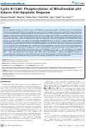 Cover page: Cyclin B1/Cdk1 Phosphorylation of Mitochondrial p53 Induces Anti-Apoptotic Response