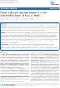 Cover page: Caries Induced Cytokine Network in the Odontoblast Layer of Human Teeth