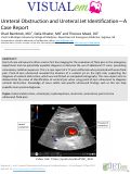 Cover page: Ureteral Obstruction and Ureteral Jet Identification -- A Case Report