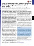 Cover page: Transcriptome-wide microRNA and target dynamics in the fat body during the gonadotrophic cycle of Aedes aegypti