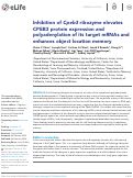 Cover page: Inhibition of Cpeb3 ribozyme elevates CPEB3 protein expression and polyadenylation of its target mRNAs and enhances object location memory.