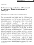 Cover page: Dysfunction of large-conductance Ca2+-activated K+ channels in vascular: risks developed in fetal origins