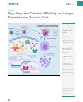 Cover page: Ap4A Regulates Directional Mobility and Antigen Presentation in Dendritic Cells