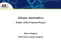 Cover page: Glomus intraradices: Status of the Genome Project