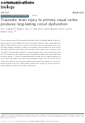 Cover page: Traumatic brain injury to primary visual cortex produces long-lasting circuit dysfunction.