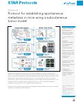 Cover page: Protocol for establishing spontaneous metastasis in mice using a subcutaneous tumor model.