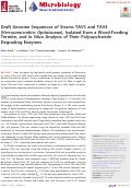 Cover page: Draft Genome Sequences of Strains TAV3 and TAV4 (Verrucomicrobia: Opitutaceae), Isolated from a Wood-Feeding Termite, and In Silico Analysis of Their Polysaccharide-Degrading Enzymes