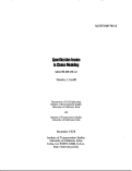 Cover page: Specification Issues in Choice Modeling