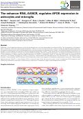 Cover page: The enhancer RNA, AANCR, regulates APOE expression in astrocytes and microglia.