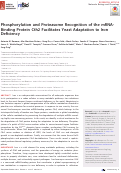 Cover page: Phosphorylation and Proteasome Recognition of the mRNA-Binding Protein Cth2 Facilitates Yeast Adaptation to Iron Deficiency