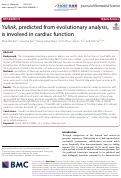 Cover page: Yulink, predicted from evolutionary analysis, is involved in cardiac function