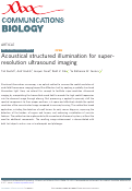 Cover page: Acoustical structured illumination for super-resolution ultrasound imaging
