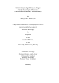 Cover page of Metrical stress and glottal stops in A’ingae: A study of cyclicity and&nbsp;dominance&nbsp;at the interface of phonology and morphology