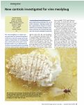 Cover page: New controls investigated for vine mealybug