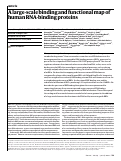 Cover page: A large-scale binding and functional map of human RNA-binding proteins