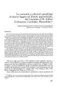 Cover page: Le comunità a Coleotteri geoadefagi di alcune faggete ed abetine appenniniche, dal Casentino al M. Pollino (Coleoptera, Carabidae, Rhysodidae)