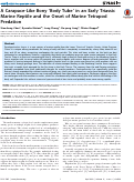 Cover page: A Carapace-Like Bony ‘Body Tube’ in an Early Triassic Marine Reptile and the Onset of Marine Tetrapod Predation