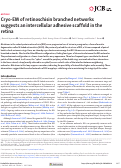 Cover page: Cryo-EM of retinoschisin branched networks suggests an intercellular adhesive scaffold in the retina